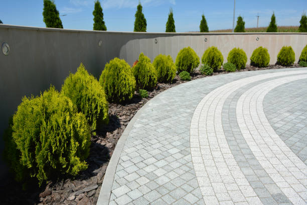 Professional Driveway Pavers in Clovis, CA